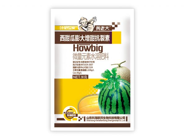 西甜瓜膨大增甜分裂素.jpg