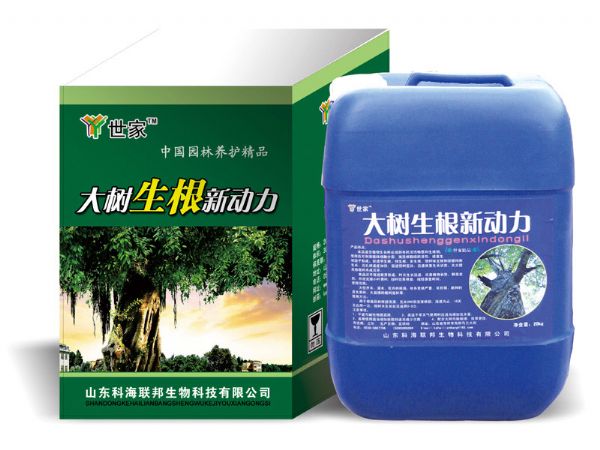 大樹生根新動(dòng)力
