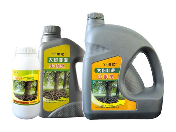 大樹澆灌生根靈