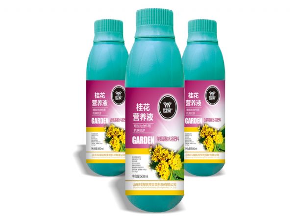 桂花營養(yǎng)液